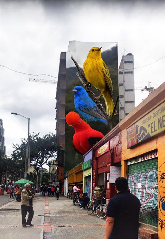 Aves de Bogotá por Mantra