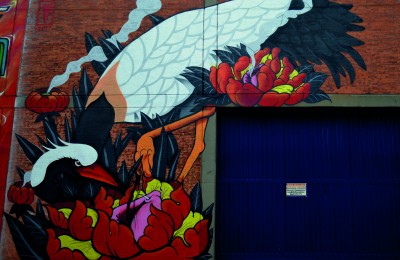 Intervención Puente Aranda - Vital (Colombia)