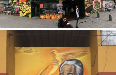 Abundancia, diversidad y riqueza de Riso