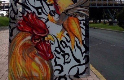 Batalla de Gallos - Felipe Franco