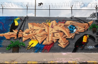 Habitad de Cemento de Chavo