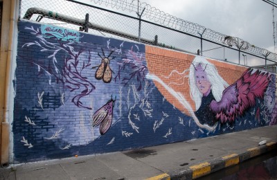 Wara de Icaro Silencia