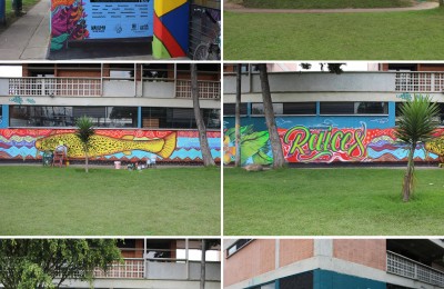 Chucua, del humedal al mural de Nakuma, Cultura Creativa