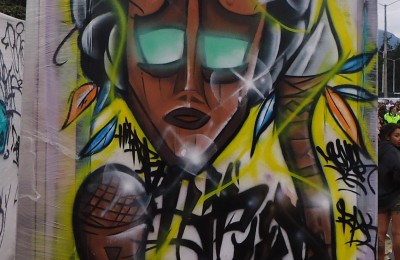 Totem de Inmunidad - Julián Gutiérrez