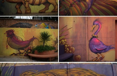 Mundos Imaginarios de Pronus